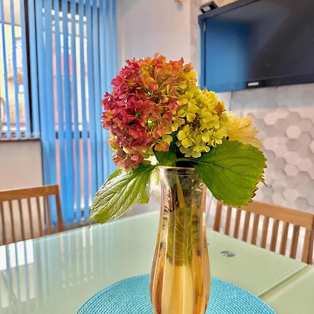 Apartament Galateya *